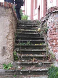 zeď