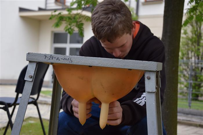 zemědělství