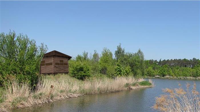 pozorovatelna
