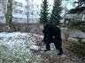 Položení základního kamene budovy EMERGENCY