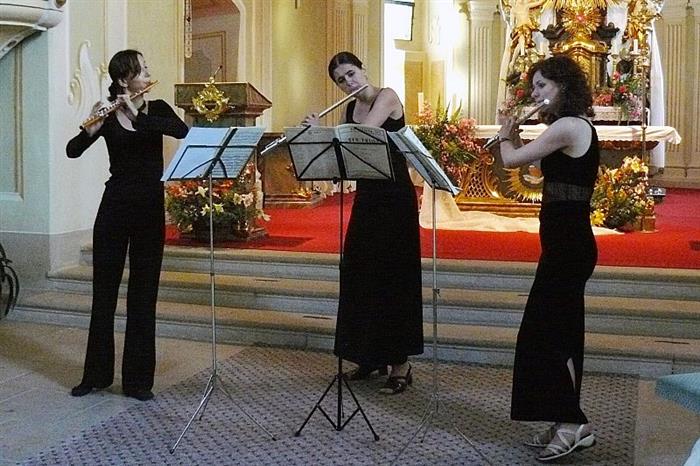 Francouzsko-česká hudební akademie – mistrovské kurzy vážné hudby / Telč