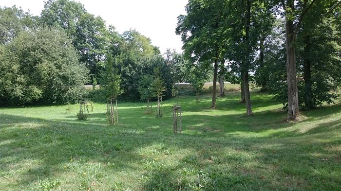 Park Budkov