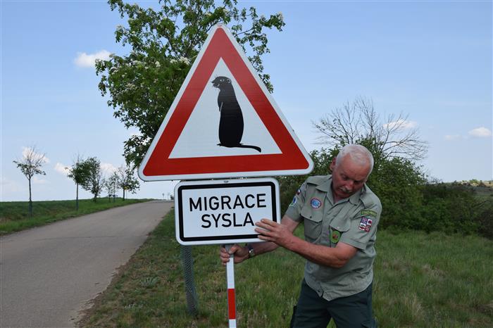 Umístění značky POZOR sysel