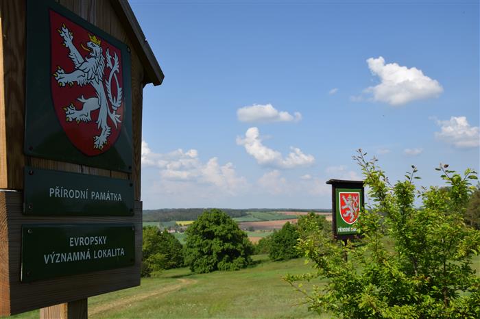kozének